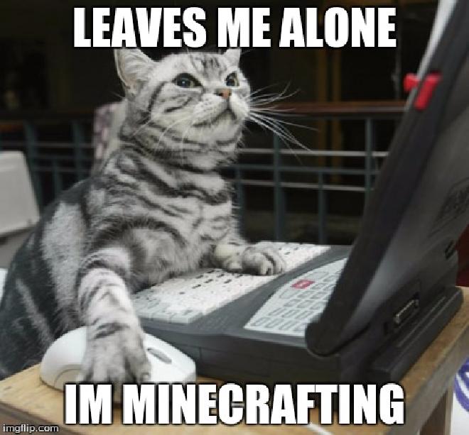 minecraft_cat